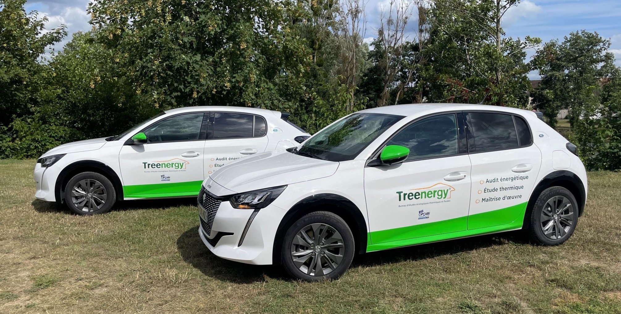 Véhicules électriques TREENERGY